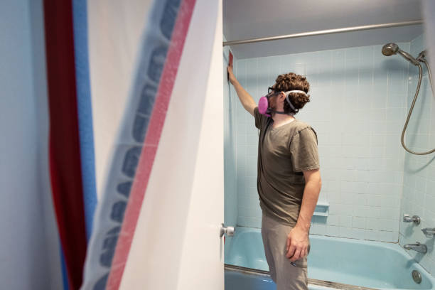 Best Mold Prevention Services  in Ignacio, CO