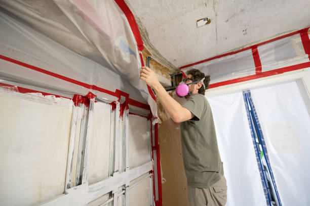 Best Mold Remediation for Healthcare Facilities  in Ignacio, CO